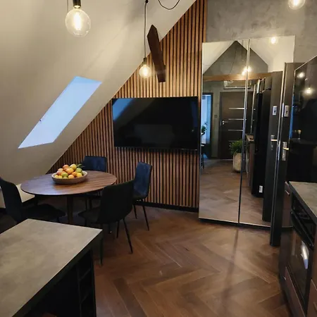 公寓 Styczynskiego 2 Premium Topfloor 卡托维兹