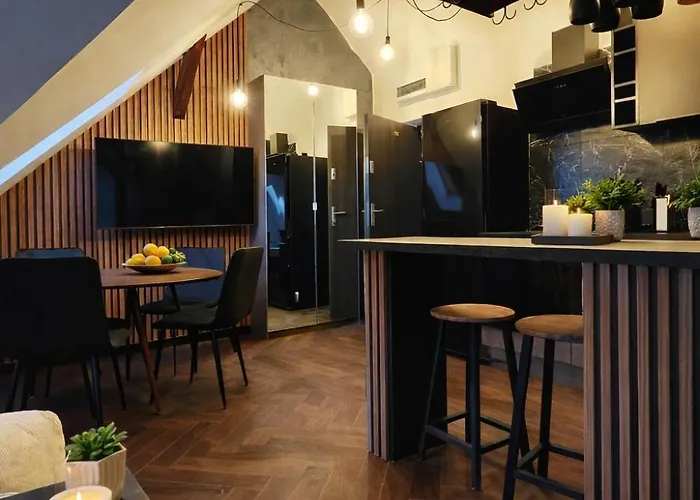 Styczynskiego 2 Premium Topfloor * Kattowitz